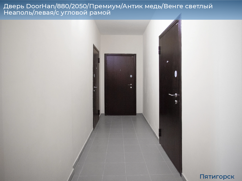 Дверь DoorHan/880/2050/Премиум/Антик медь/Венге светлый Неаполь/левая/с угловой рамой, www.pyatigorsk.doorhan.ru