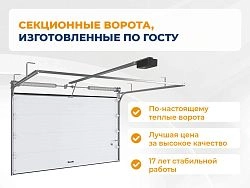 Cекционные ворота 2500х2300 мм белые DoorHan RSD02